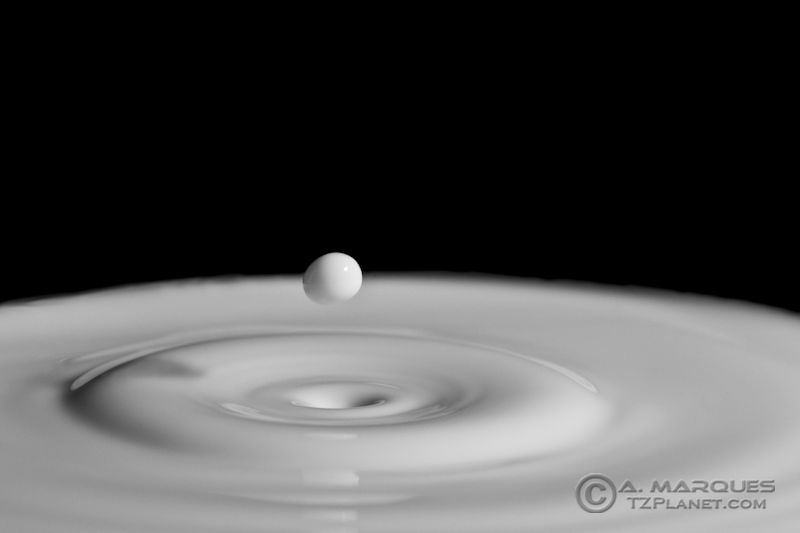 Frozen Moment - A little experiment with milk drops.